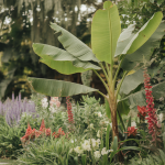 Aménagement Jardin Avec Bananier : 40 Meilleures Idées